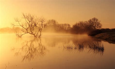 Wallpaper Sunlight Sunset Lake Nature Reflection Branch Sunrise