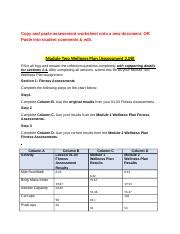 Module Wellness Plan Docx Copy And Paste Assessment Worksheet Onto