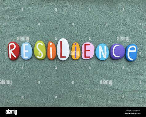 Resilience Word Composed With Hand Painted Stone Letters Over Green