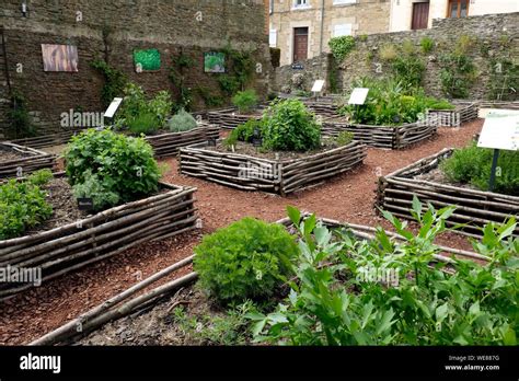 Medieval Garden