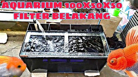 01 AQUARIUM FILTER BELAKANG YouTube