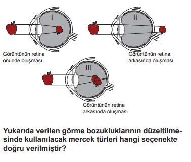 Duyu Organları Test Çöz Online Duyu Organları Soruları ÜniRehberi