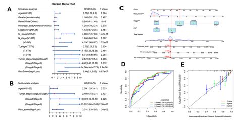 Identification And Validation Of An Immune Related Gene Signature