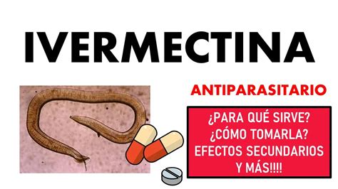 🔴 Ivermectina Para QuÉ Sirve Efectos Secundarios Mecanismo De AcciÓn Y Contraindicaciones