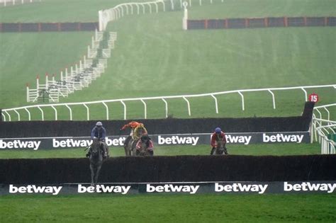 Cheltenham Festival 2023 weather: 'Lovely' assessment ahead of Gold Cup ...