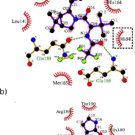 2d Representation Of The Best Docking Poses In The Binding Site