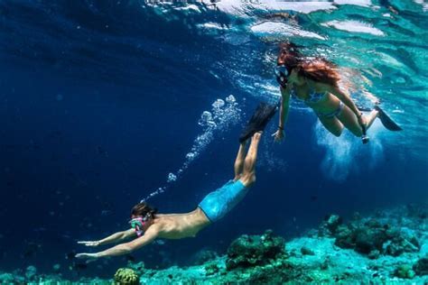 The Best Snorkeling In Fort Lauderdale For All Experience Levels