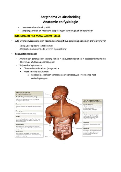 Anatomie Periode 2 Laatste Deel Samenvatting Zorgthema 2