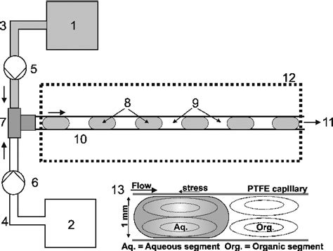 Figure 1 From Enzyme Catalysis In An Aqueousorganic Segment Flow