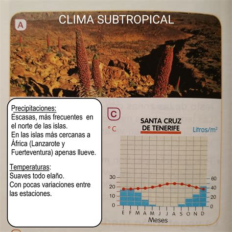 Caracteristicas Del Clima Subtropical - CIENCIAS SOCIALES 5º- 2020/21: UNIDAD 2: CLIMAS PAISAJES
