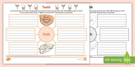Teeth Mind Map (Teacher-Made) - Twinkl