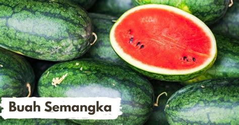 Buah Jambu Air Manfaat Dan Khasiatnya Untuk Kesehatan