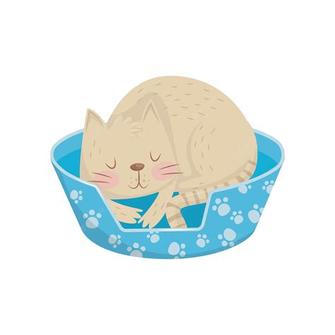 Premium Vector Cat Sleeping In His Cozy Bed Adorable Domestic Animal