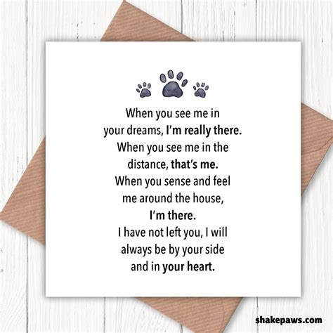 People are sharing their favorite sorry for your loss quotes 1