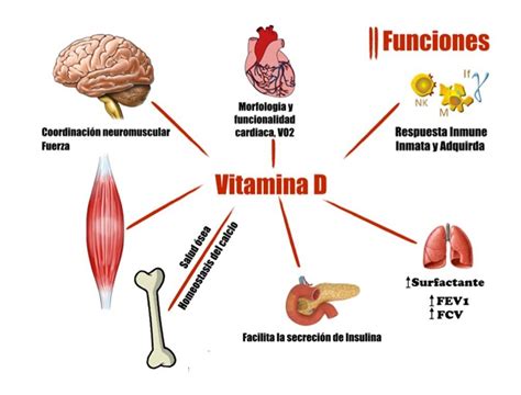 8 Efectos Negativos De La Falta De Vitamina D Podrías Perder La Vida