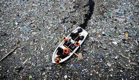 La Isla Basura Del Pac Fico Ya Tiene Tres Veces El Tama O De Francia