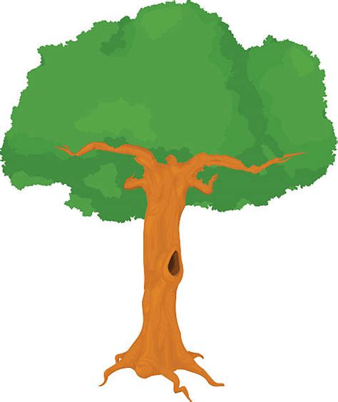 Tree Hole Clip Art Vector Images And Illustrations Istock