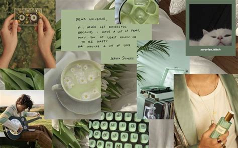 Sage Green coloured pretty aesthetic high quality collage wallpaper for ...