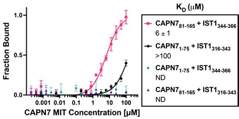 Figure Supplement Binding Isotherms For Individual Capn Mit