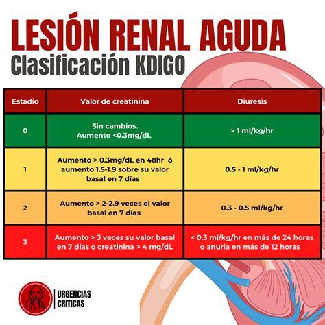 Medicina De Urgencias Clasificaci N Kdigo Lesi N Renal Aguda Instagram