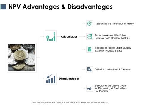 Npv Advantages And Disadvantages Ppt Powerpoint Gallery Powerpoint Presentation Sample