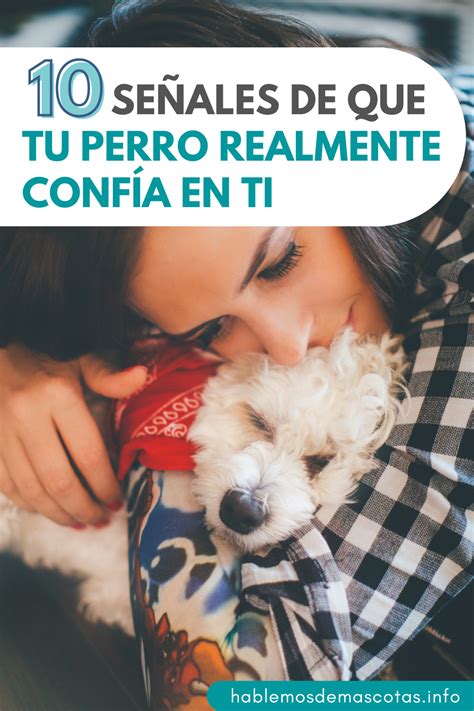 10 Señales de que Tu Perro REALMENTE Confía en Ti Perros Perros