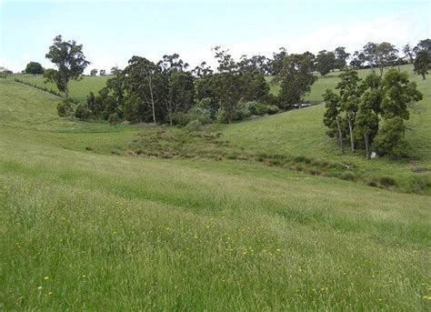 Warragul Burrowing Crayfish Habitat