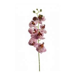 Rama De Orqu Deas Phalaenopsis Artificial Mina Rosa Cm