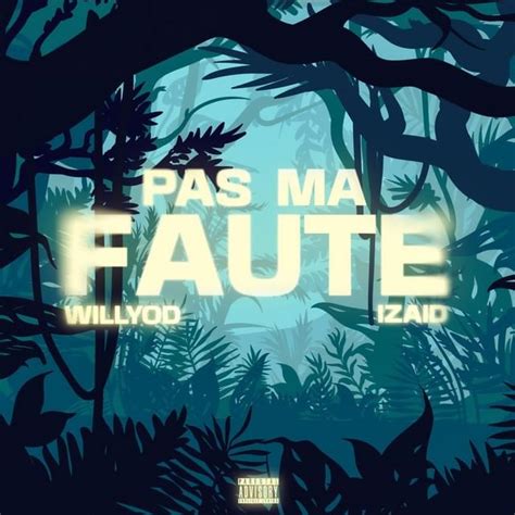 Willyod Pas Ma Faute Lyrics Genius Lyrics