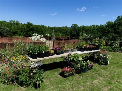 South Carolina Botanical Garden 2024 Spring Plant Sales are April 5, 6 ...