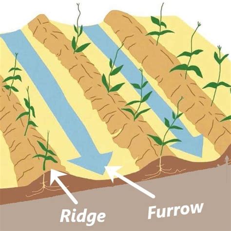furrow irrigation   construct maintain furrow pros cons