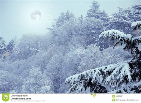 Winter Snowy Landscape in Evening with Full Moon and Fir Tree Stock Image - Image of beauty ...