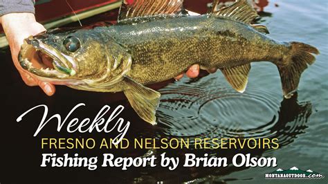 Fresno And Nelson Reservoirs Fishing Report By Brian Olson 111424