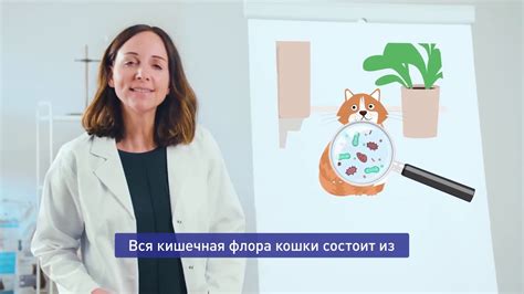 Корм Sanabelle для кошек. Немецкое качество. - YouTube