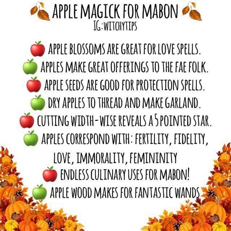 Tips For Witches Everywhere On Instagram Apples One Of The Biggest