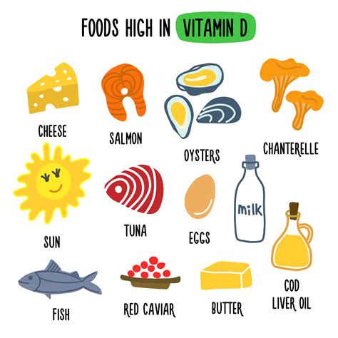 Foods High in vitamin D. Vector illustration with healthy foods rich in ...