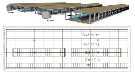 Schematic diagram and layout of trial dairy cow barns with the sprinkle ...