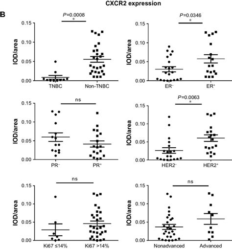 Cxcr2 Expression In Tissue Sections Of Human Breast Cancer From 37