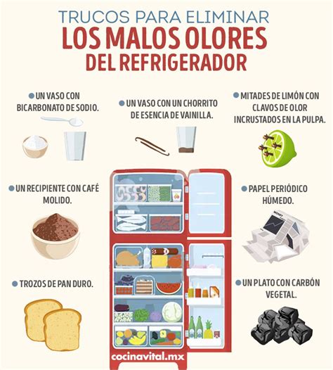 Efectivos Remedios Para Quitar Malos Olores Del Refrigerador Artofit