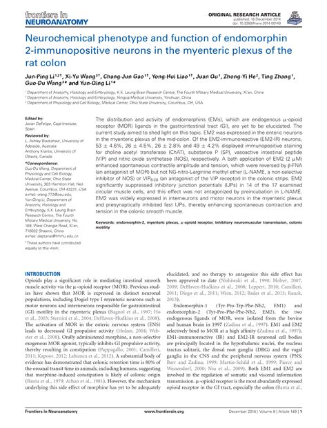 Neurochemical Phenotype and Function of Endomorphin 2-Immunopositive ...