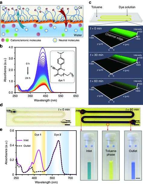 Semi Permeability Of 2d Nps Interfacial Films A Schematic Showing