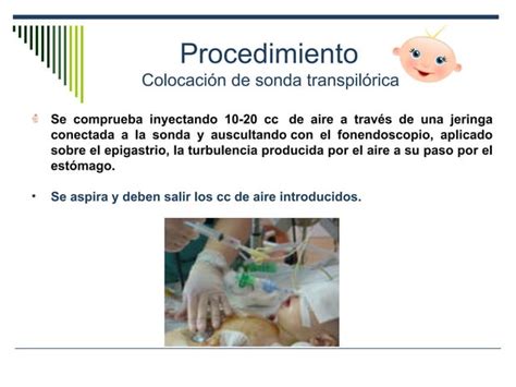 Sondas En Pacientes Pediatricos Ppt