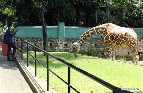 Dehiwala Zoo