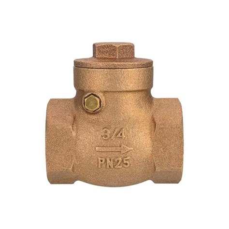 Spring Check Valve Vs Swing Check Valve What Is The Difference Premium Residential Valves