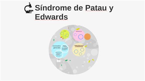 Síndrome De Patau Y Edwards By Sara Garcia On Prezi