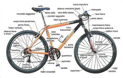 Componenti MTB ProfBike