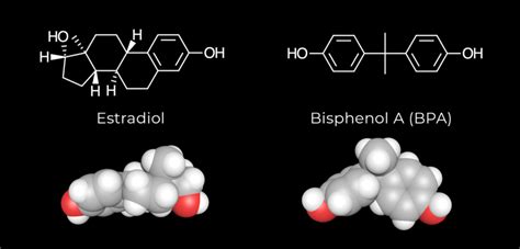 The Baffling History Of Bpa Lurking In Our Food And Water