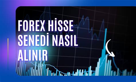 Forex Hisse Senedi Nasıl Alınır 2024