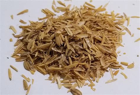 100 Natural Rice Husk Natural Organic Compost Hydroponic Growing Media