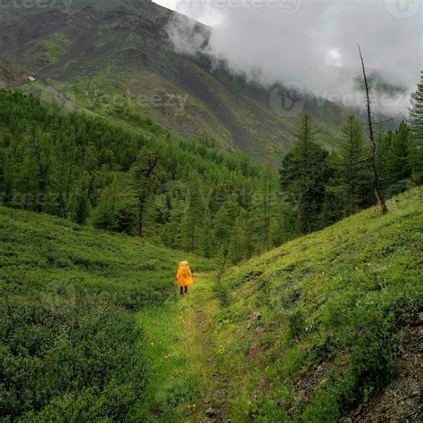 Rainy hike, alone on the trail. Figure of a tourist in a yellow ...